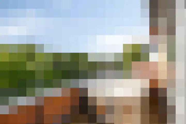 Hertenlaan 4 Honselersdijk thumbnail 34