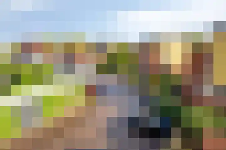 Hertenlaan 4 Honselersdijk thumbnail 35