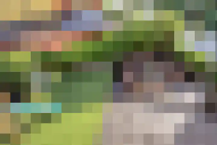 Hertenlaan 4 Honselersdijk thumbnail 36
