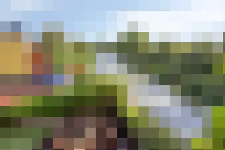 Hertenlaan 4 Honselersdijk thumbnail 37