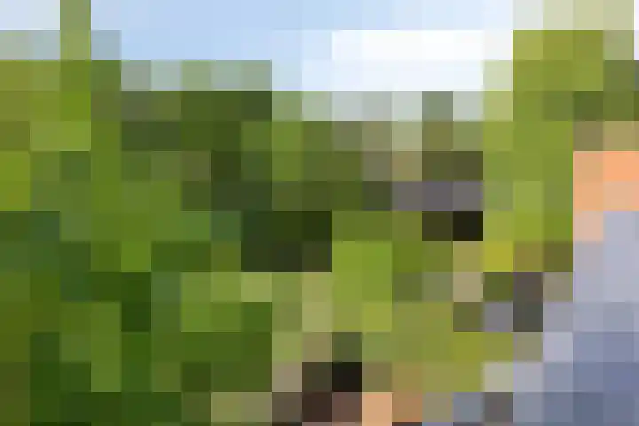 Hertenlaan 4 Honselersdijk thumbnail 38