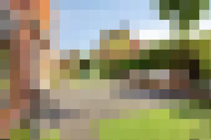Hertenlaan 4 Honselersdijk thumbnail 39