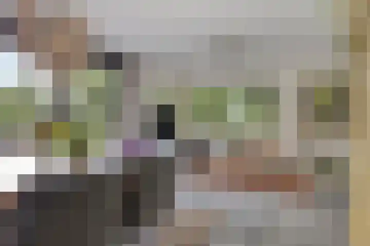 Hertenlaan 4 Honselersdijk thumbnail 4