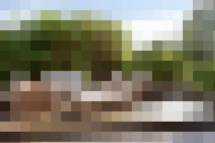 Hertenlaan 4 Honselersdijk thumbnail 40