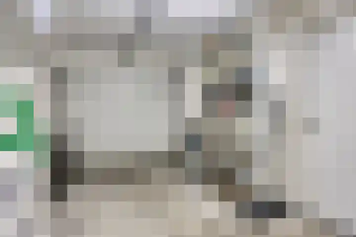 Hertenlaan 4 Honselersdijk thumbnail 43