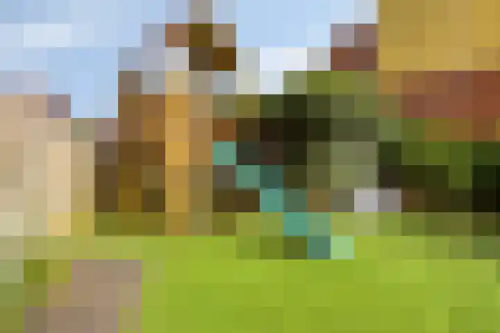 Hertenlaan 4 Honselersdijk thumbnail 45