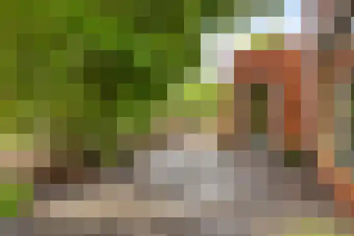 Hertenlaan 4 Honselersdijk thumbnail 46
