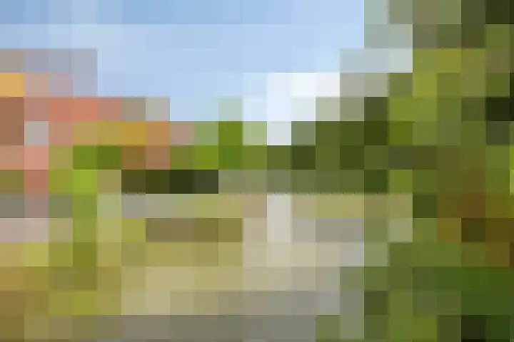 Hertenlaan 4 Honselersdijk thumbnail 49