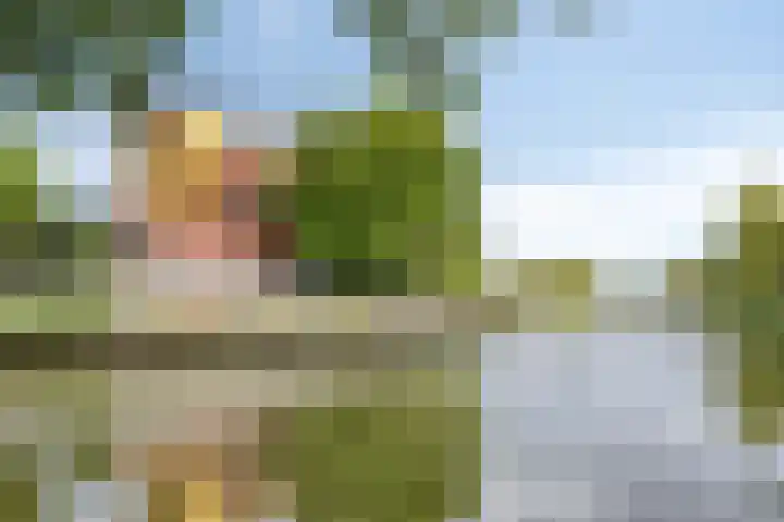 Hertenlaan 4 Honselersdijk thumbnail 50