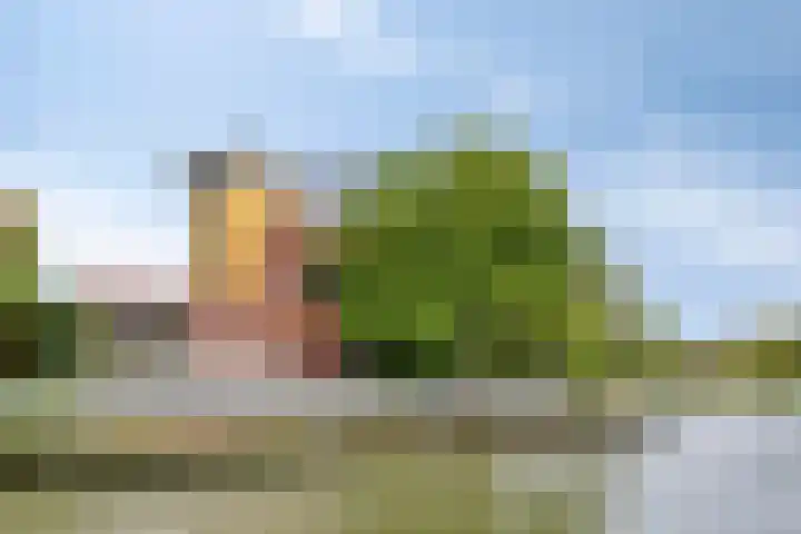 Hertenlaan 4 Honselersdijk thumbnail 51