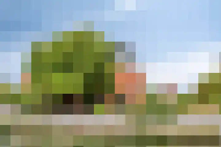 Hertenlaan 4 Honselersdijk thumbnail 52