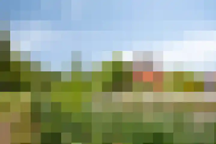 Hertenlaan 4 Honselersdijk thumbnail 53