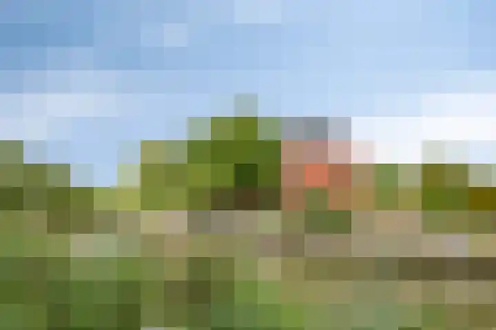 Hertenlaan 4 Honselersdijk thumbnail 54