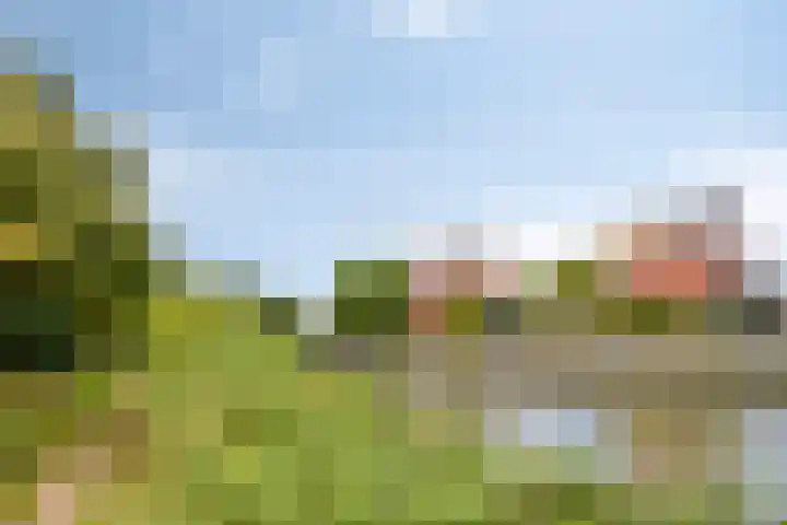 Hertenlaan 4 Honselersdijk thumbnail 55