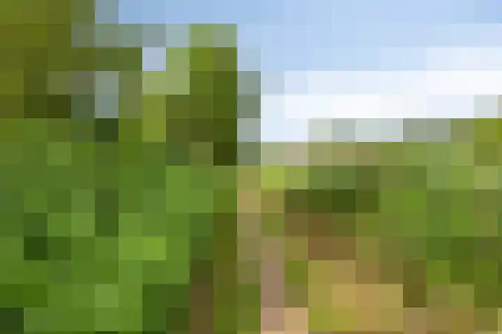 Hertenlaan 4 Honselersdijk thumbnail 58