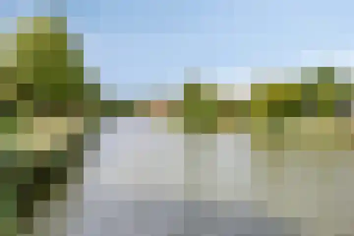 Hertenlaan 4 Honselersdijk thumbnail 59
