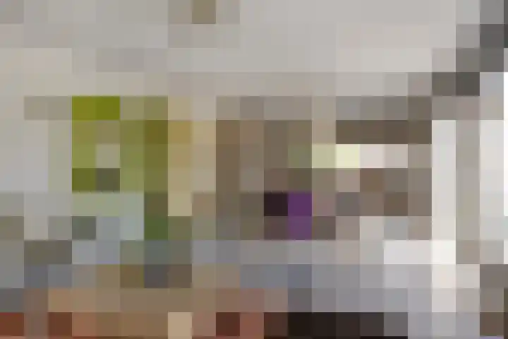 Hertenlaan 4 Honselersdijk thumbnail 6