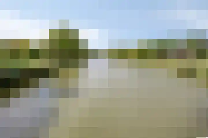 Hertenlaan 4 Honselersdijk thumbnail 61