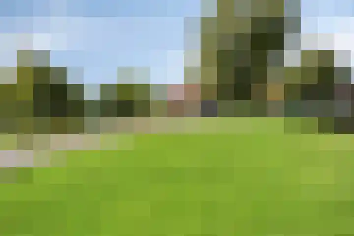 Hertenlaan 4 Honselersdijk thumbnail 62