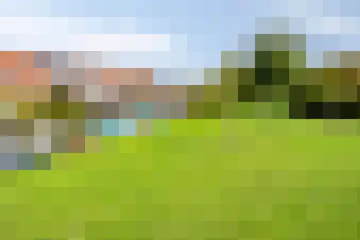 Hertenlaan 4 Honselersdijk thumbnail 63