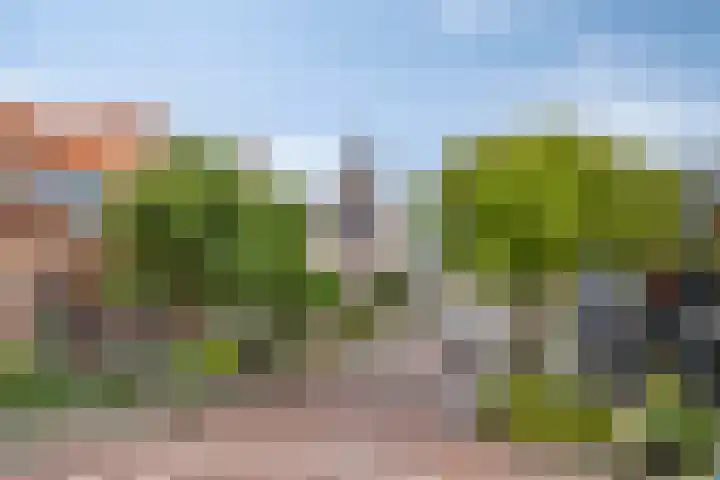 Hertenlaan 4 Honselersdijk thumbnail 65