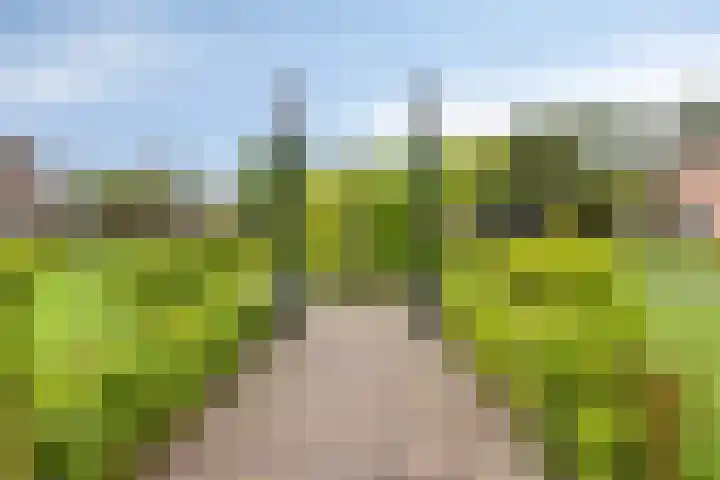 Hertenlaan 4 Honselersdijk thumbnail 66
