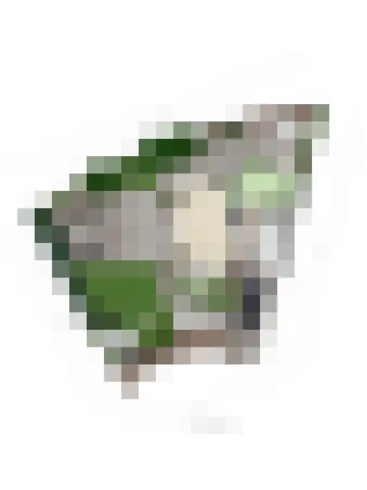 Hertenlaan 4 Honselersdijk thumbnail 67