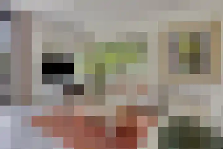 Hertenlaan 4 Honselersdijk thumbnail 7