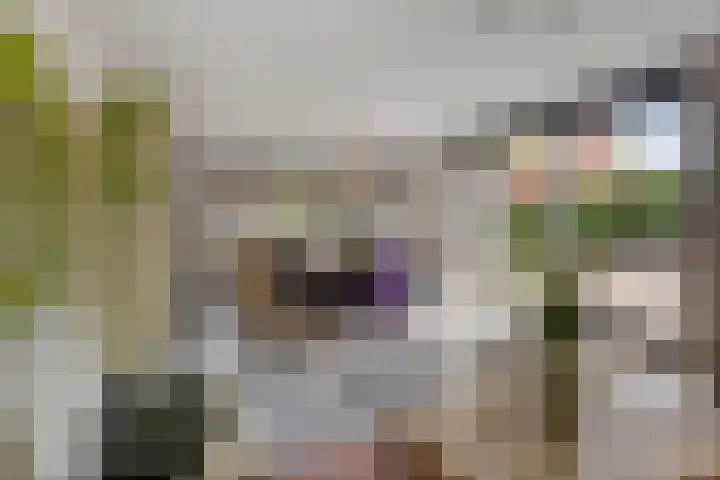 Hertenlaan 4 Honselersdijk thumbnail 8