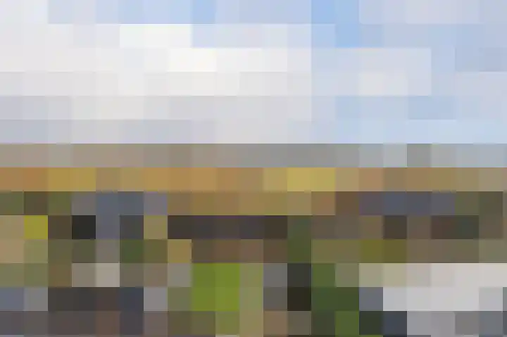 Hertenlaan 43 Assen thumbnail 36