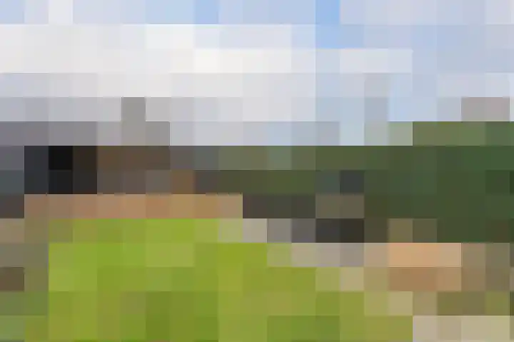 Hertenlaan 43 Assen thumbnail 43