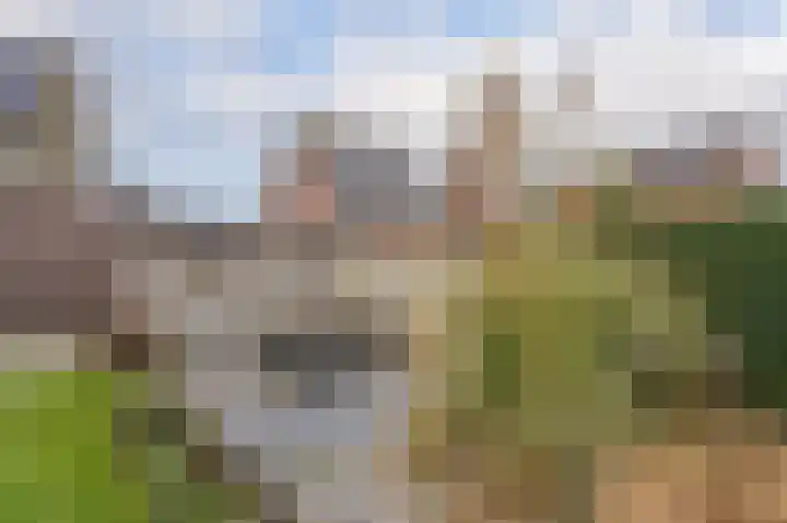 Hertenlaan 43 Assen thumbnail 47