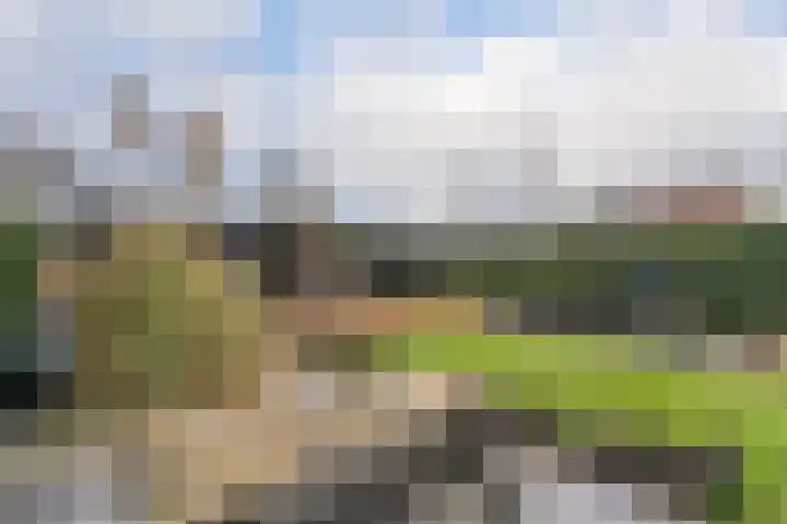Hertenlaan 43 Assen thumbnail 48