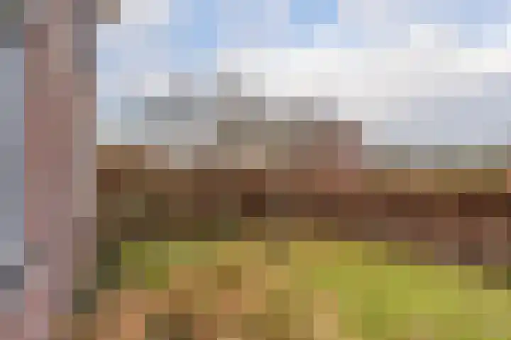 Hertenlaan 43 Assen thumbnail 8