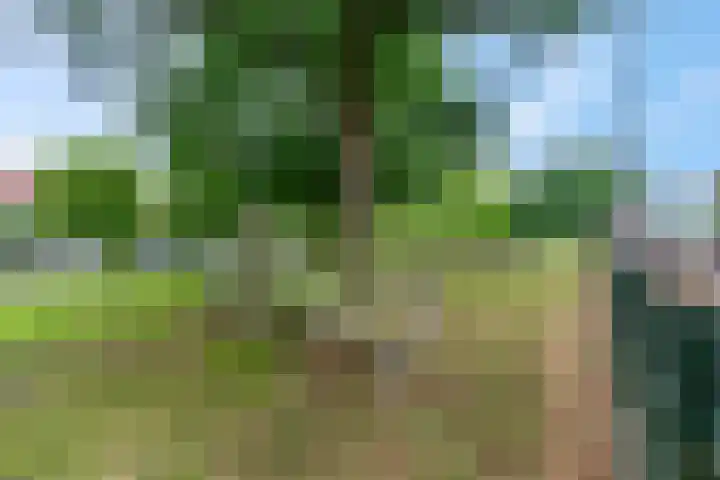 Hertenlaan 44 Arnhem thumbnail 39