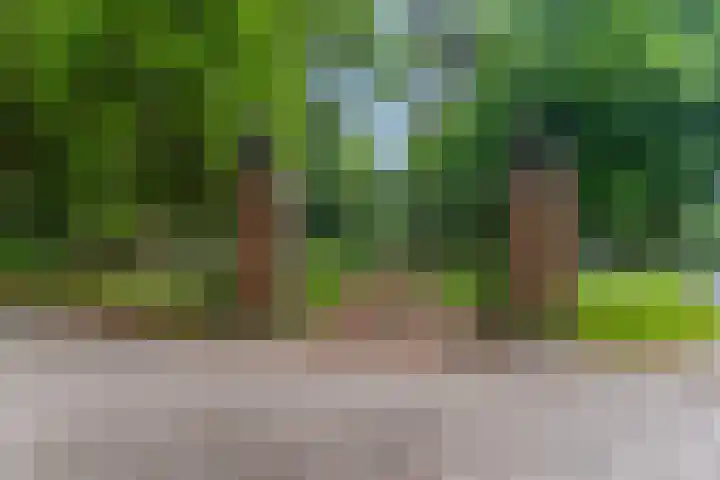 Hertenlaan 44 Arnhem thumbnail 42