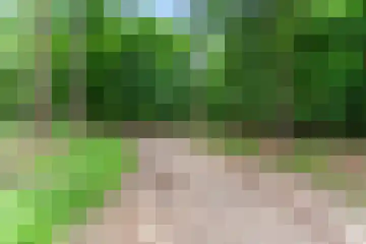 Hertenlaan 44 Arnhem thumbnail 43