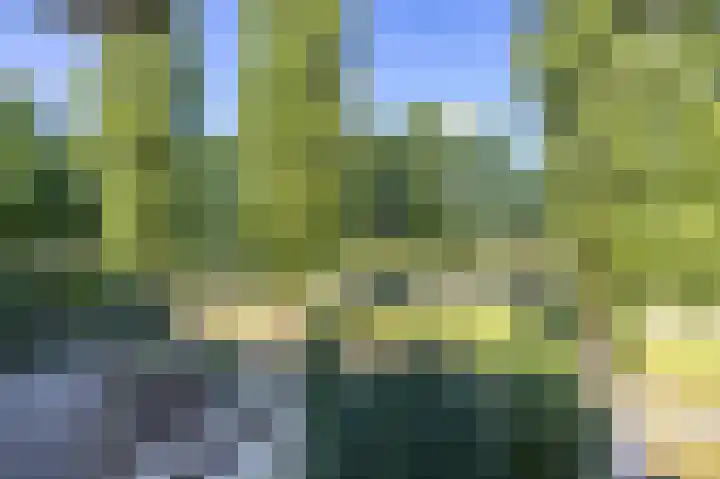 Hertenlaan 49 Haren Gn thumbnail 18