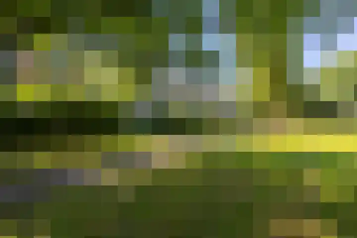 Hertenlaan 49 Haren Gn thumbnail 33