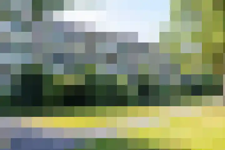 Hertenlaan 49 Haren Gn thumbnail 34