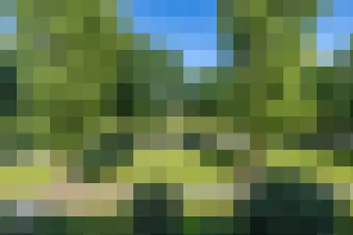 Hertenlaan 49 Haren Gn thumbnail 35