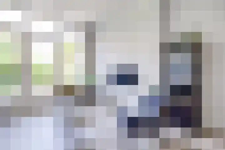 Hertenlaan 5 Bilthoven thumbnail 14