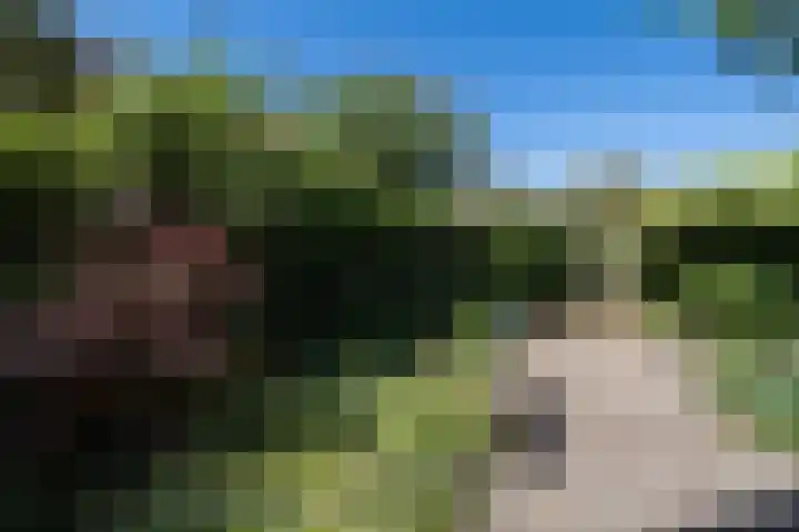 Hertenlaan 5 Bilthoven thumbnail 26