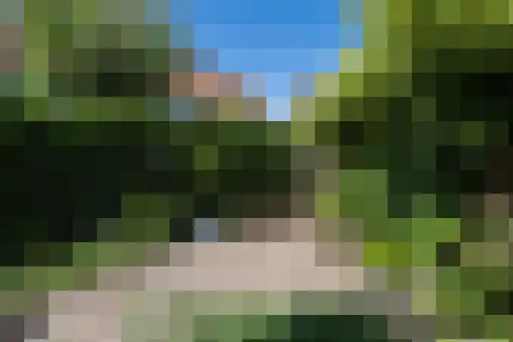 Hertenlaan 5 Bilthoven thumbnail 29