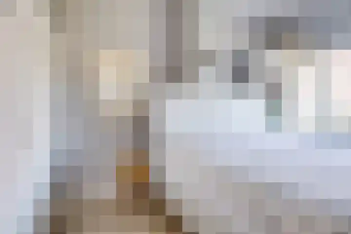 Hertenlaan 5 Bilthoven thumbnail 38