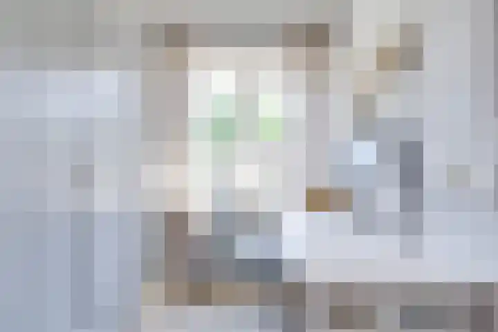 Hertenlaan 5 Bilthoven thumbnail 42