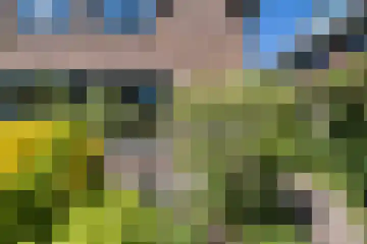 Hertenlaan 5 Bilthoven thumbnail 51