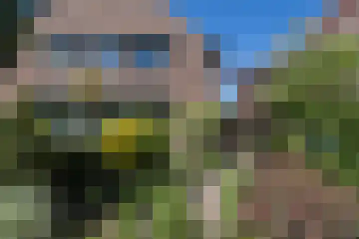 Hertenlaan 5 Bilthoven thumbnail 52