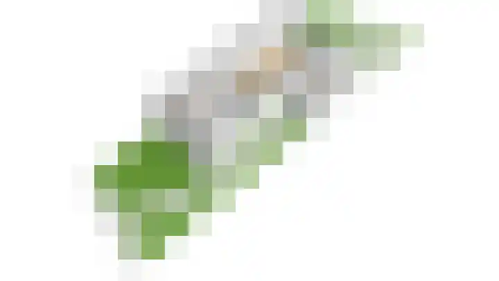 Hertenlaan 5 Bilthoven thumbnail 56