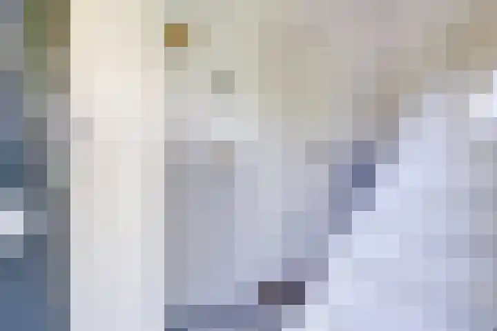 Hertenlaan 5 Bilthoven thumbnail 8